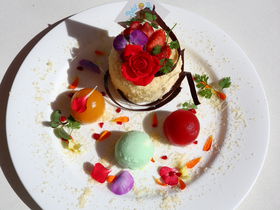 uXC[cRNV 2020vt[XC[ĉ߂!?̋LTlC