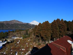 �u���c�} �R�̃z�e���v�𔠍����q���ɃI�X�X������5�̗��R�̋L���T���l�C��