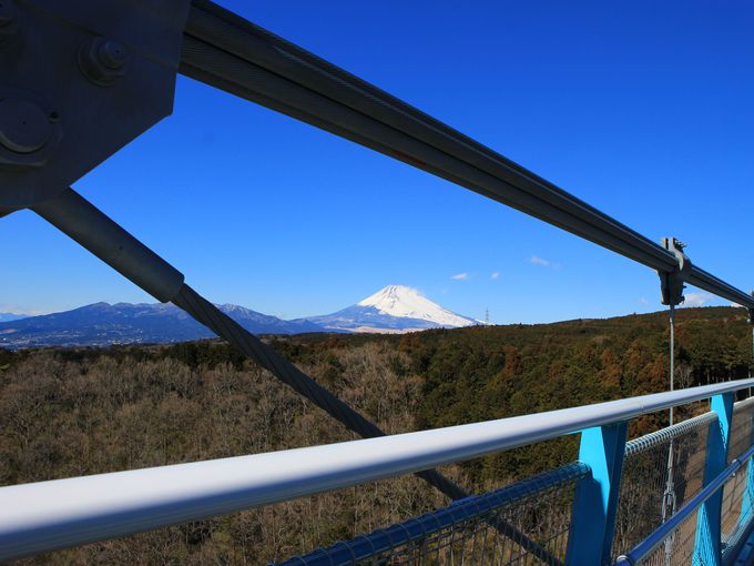 三島スカイウォークは日本一長い歩行者専用吊り橋