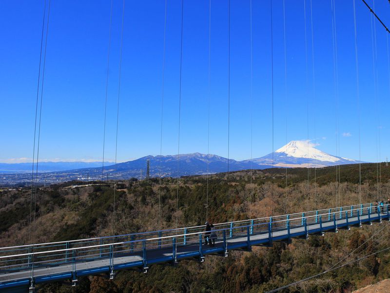 「三島スカイウォーク」は箱根から半日観光も可能！まさに絶景