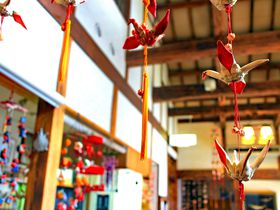 ����ȂƂ���ɉB��Ɣ铒���I�����u�V�h���v��7���̏����ȓ��h�̋L���T���l�C��