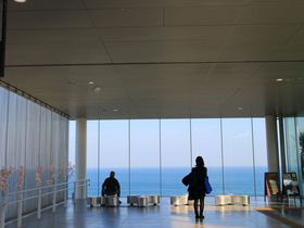 �����w���V�[�o�[�Y�J�t�F�́A�w���̂��̂��ό�����!?�̋L���T���l�C��