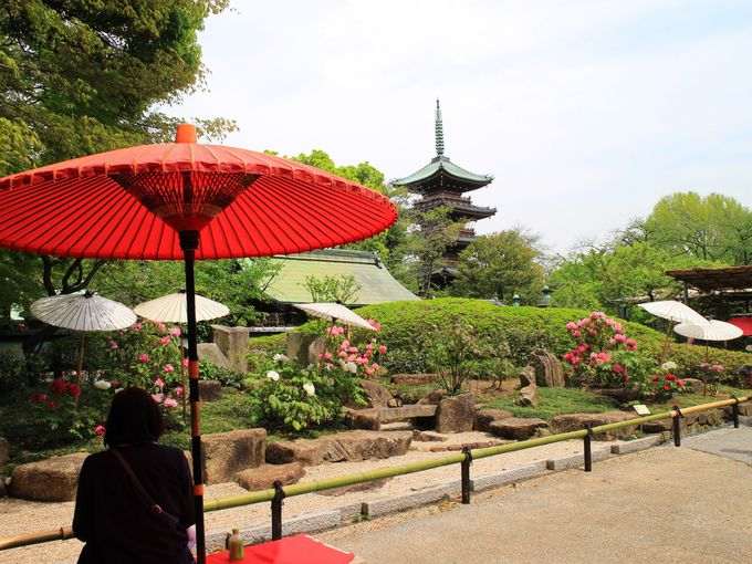 ̂ڂ{뉀Ƃڂ̉Ԃ̃R{