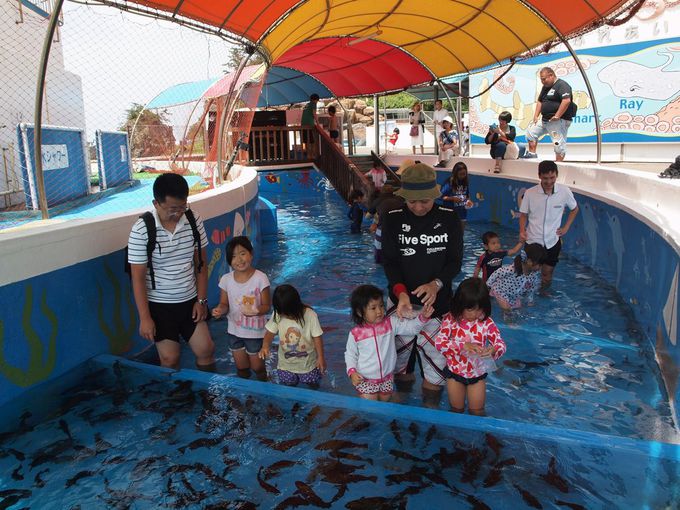 水族館のプール!?シースルー水槽？