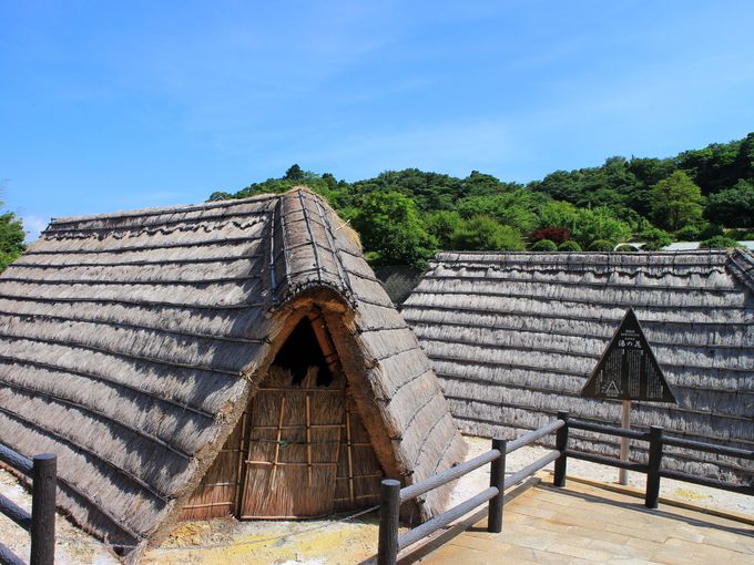 明礬温泉の老舗旅館「岡本屋」