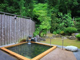 新潟「奥の湯　湯元館」には全身リンスしたみたいな温泉が！