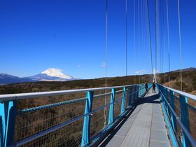 Cŝ߃v́HpxXgV[YAAX|bgȂǂI̋LTlC