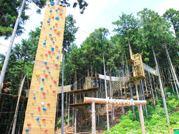 フォレストアドベンチャー 三島スカイウォークはジップライン 爽快絶景 静岡県 トラベルjp 旅行ガイド