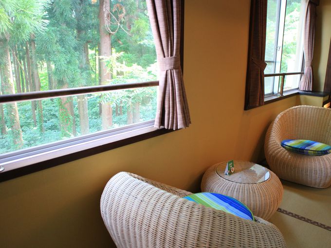 �y�b�g�Ɣ��܂�邨������I�V���C�t���q����