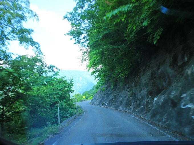 ��ԉ��򌳓����猹����������R�ꗢ�쉷��