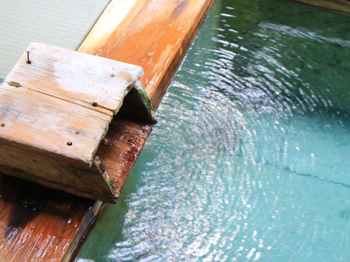 ��ԉ��򌳓����猹����������R�ꗢ�쉷��