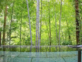 箱根湯本でおすすめの宿10選！歴史ある温泉地を堪能しよう