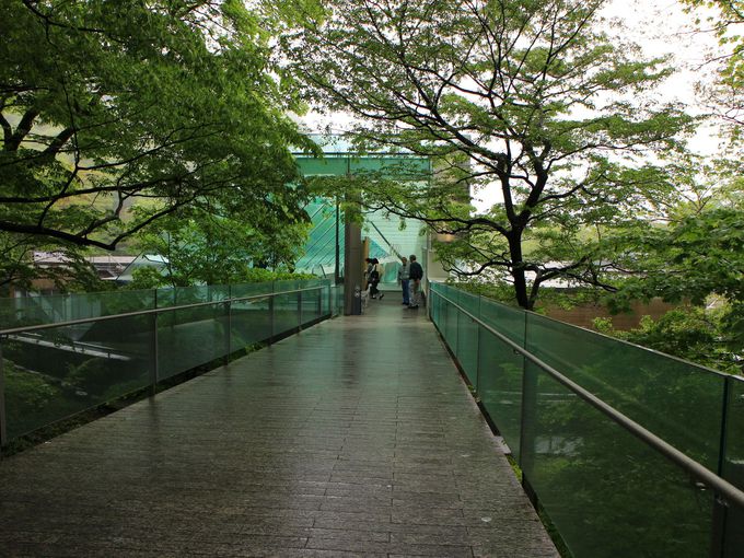 ガラス張りの美しい「ポーラ美術館」