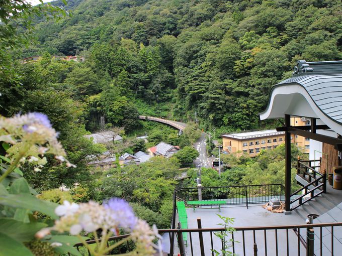 箱根旧街道の石畳を歩いて行く箱根観音