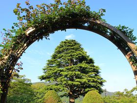 ������������ �؍ݎ��ԕʃK�C�h�I�����`��N���t�g�̏����̋L���T���l�C��