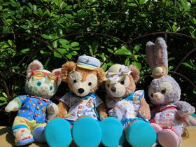 _btB[̃Tj[t@̊yݕIfBYj[V[̉Ă̓R̋LTlC