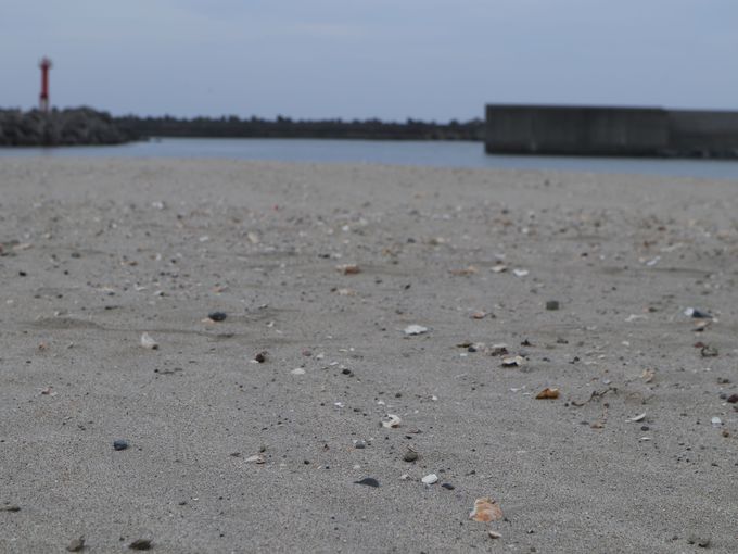 ͌qC ЂThA[gtFXeBo̍XS