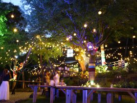 Ă̔́uSummer Night VillagevƈmΊCDɒځI̋LTlC