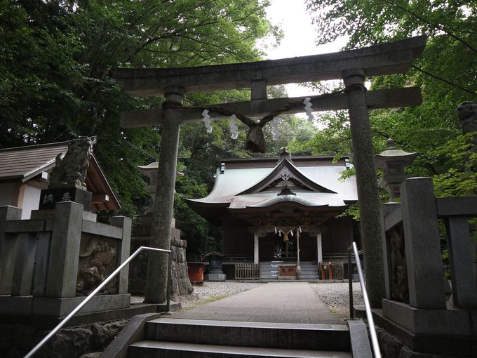 茨城 泉神社 古えの縁結び女神おわす 美しすぎる泉の神秘 茨城県 Lineトラベルjp 旅行ガイド