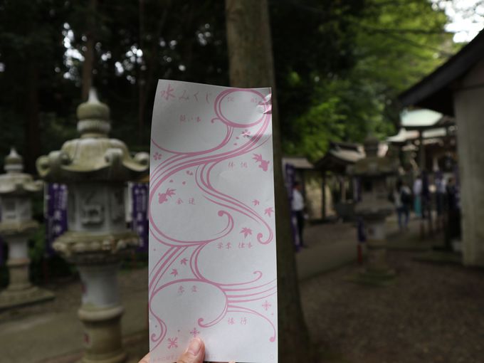 泉神社の水みくじで霊泉に触れて