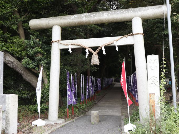 茨城 泉神社 古えの縁結び女神おわす 美しすぎる泉の神秘 茨城県 トラベルjp 旅行ガイド