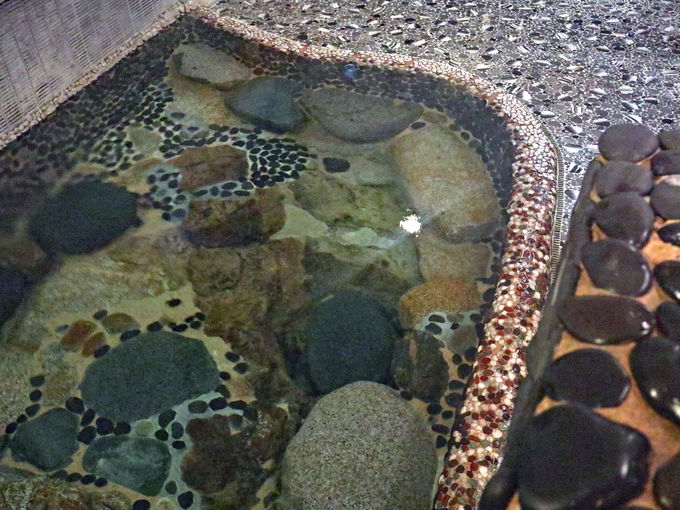 宿泊：奥津温泉の足下湧出泉「名泉鍵湯 奥津荘」