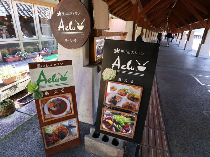 1日目ランチ：奥津温泉のランチに里山レストラン Aelu(あえる)