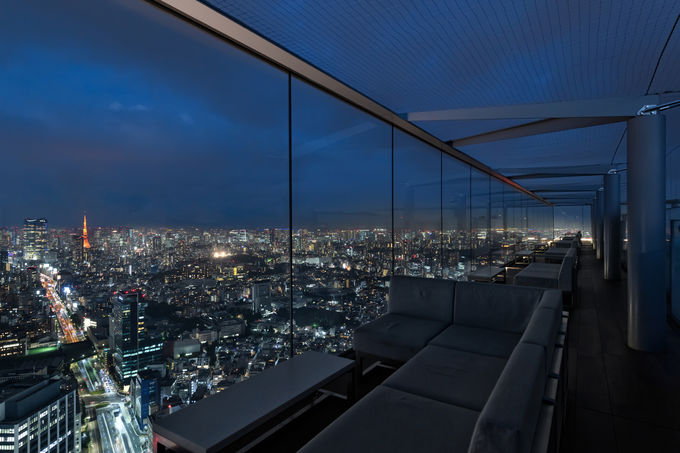 THE ROOF SHIBUYA SKY̗\JȂH