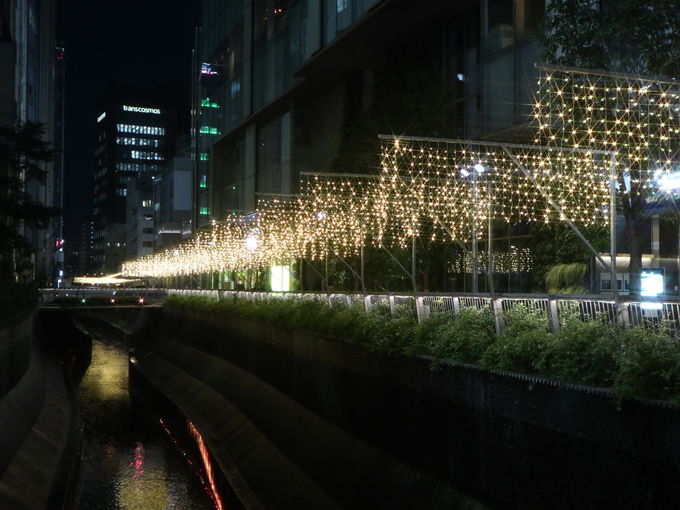 渋谷のクリスマス2020 ツリーとイルミで映えるスポットはココ 東京都 トラベルjp 旅行ガイド