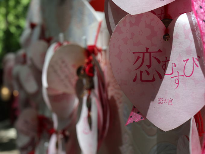 「かがみの海」の鳥居から続く宮地嶽神社の光の道