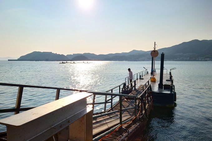 ���S�҂ł����S���Ēނ肪�y���߂��Ⴄ