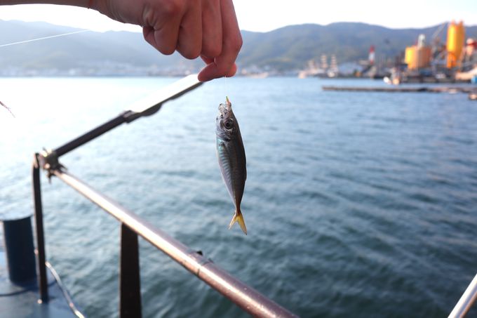 ���S�҂ł����S���Ēނ肪�y���߂��Ⴄ