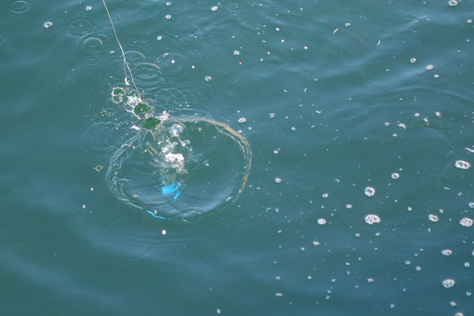 ���S�҂ł����S���Ēނ肪�y���߂��Ⴄ