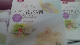 REmgjAeruԎqƃAv̂yYTIII̋LTlC