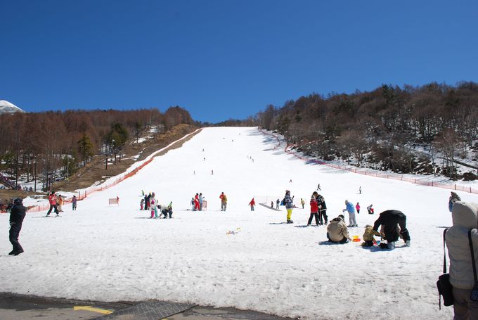 富士見高原スキー場が人気の理由は「安心・安全・暖かい」！？