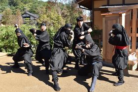 �R���E���̂т̗��ő�l���q�����u�E�ҁv���y���ނT�̃|�C���g�̋L���T���l�C��