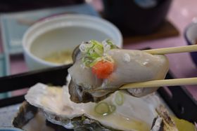 mEu}|[gzeCmvŊC̃~N≲yɐہII̋LTlC