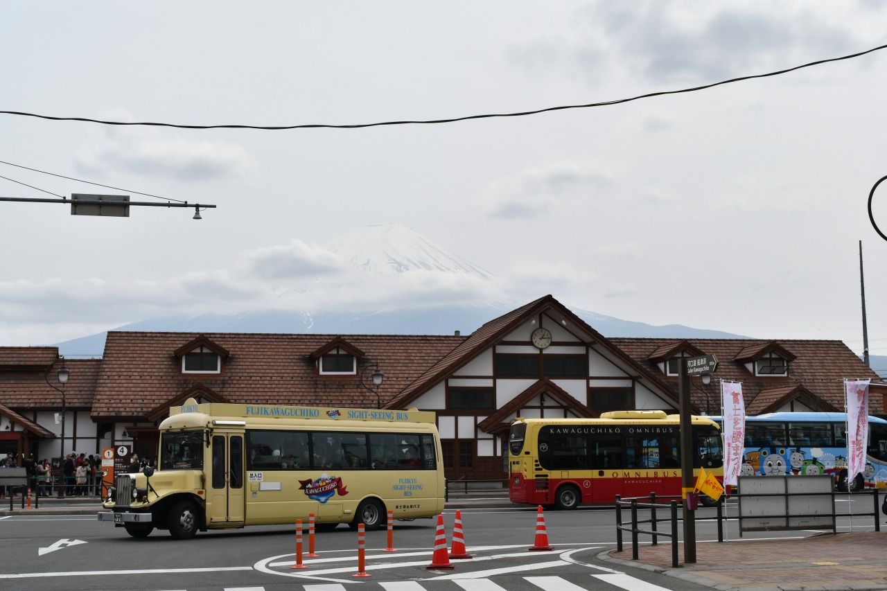 人気スポットを効率よく巡る！「山梨富士五湖定期観光バス」