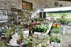 �������ς��̎���K�[�f�� ���ꌧ�u���[�U���x���[���a�c�v�̋L���T���l�C��