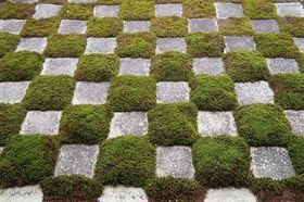 ������薞�i����Ȃ�~���������߁I�~�ł��������u���s�̒뉀4�I�v�̋L���T���l�C��