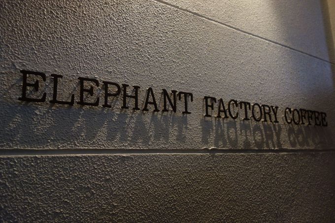 Hn̉BƃR[q[X͐[܂ŁuGt@gt@Ng[R[q[v