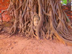 A^̃bgE}n^[gŖ؂̍ɂՂ̕I̋LTlC