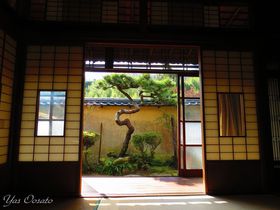 �ۋT�u�{���v�Ɏc��z�S�N�̋g�c�@�I���x�Ȍ��z�Ɨl�X�Ȕ��̋L���T���l�C��