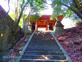 �ۋT�{���u���o�@�v�͍s��A��C�����̃p���[�X�|�b�g�I�̋L���T���l�C��