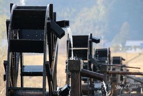 ���m�E�l���\��x���ŉ�鐅�ԌQ�I�������u�������Ԃ̗��v�̋L���T���l�C��