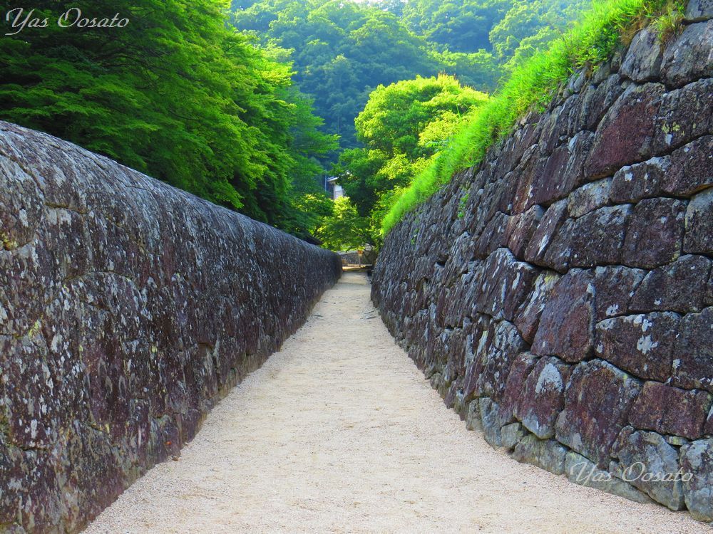 石塀の道