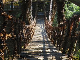 ŖėsIߊόX|bg10I̋LTlC