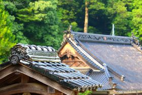 ��C�����`���̉��R�����u�_�����v�œV��吙�����グ�悤�̋L���T���l�C��