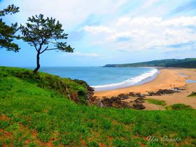 ���˂̂������ߊό��X�|�b�g10�I �`�̒��s�ɃO������Ԃ��I�̋L���T���l�C��