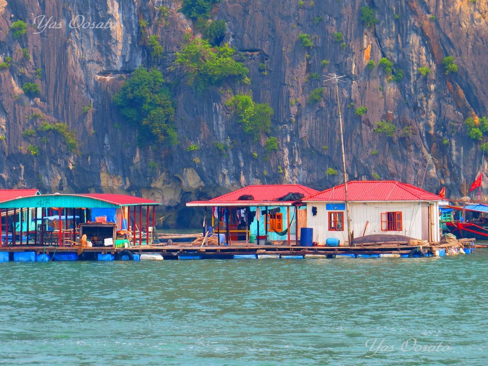 入荷商品ベトナム水上の村 自然、風景画
